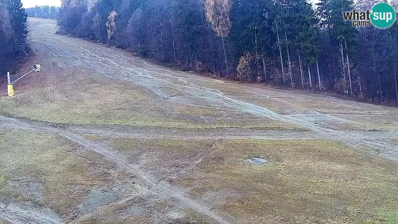 Webcam Pohorje Trikotna Jasa | Poštela