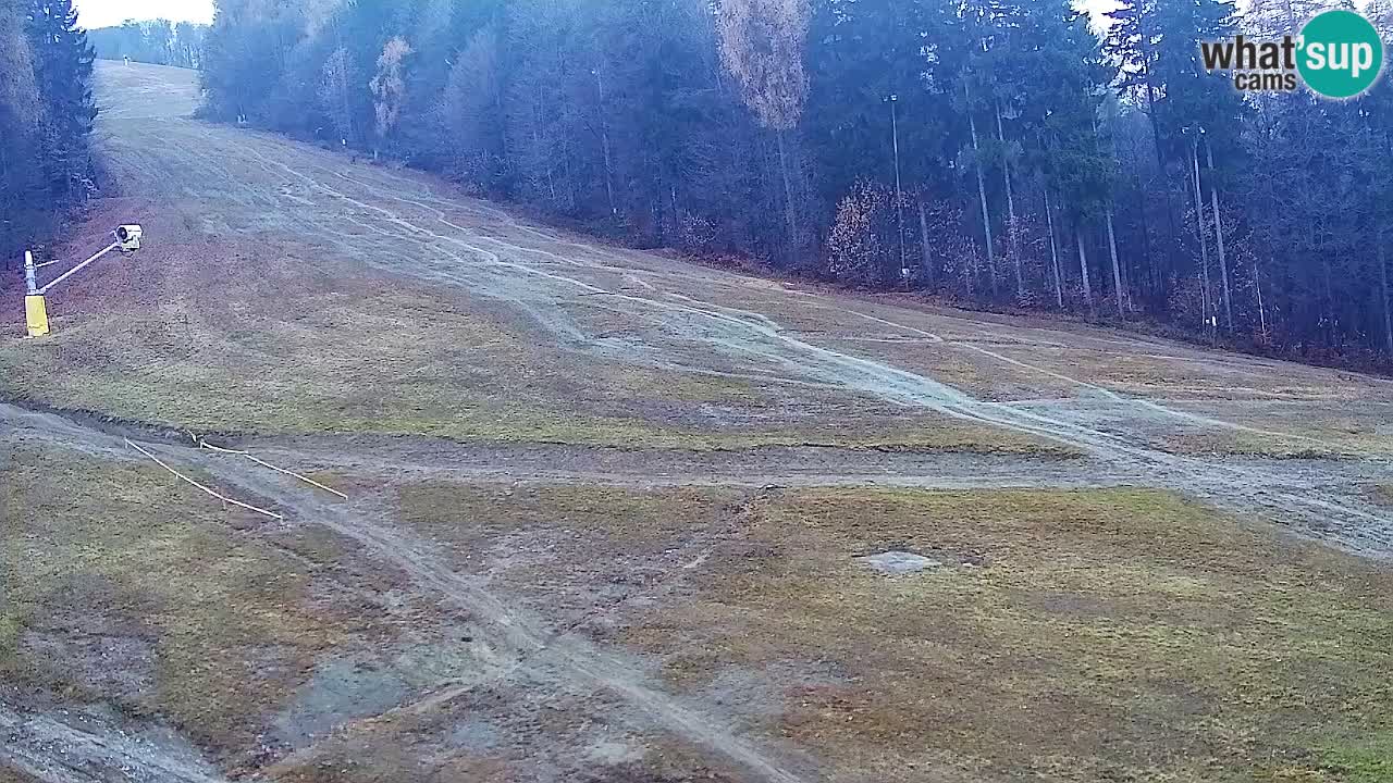 Spletna Kamera Pohorje Trikotna Jasa | Poštela