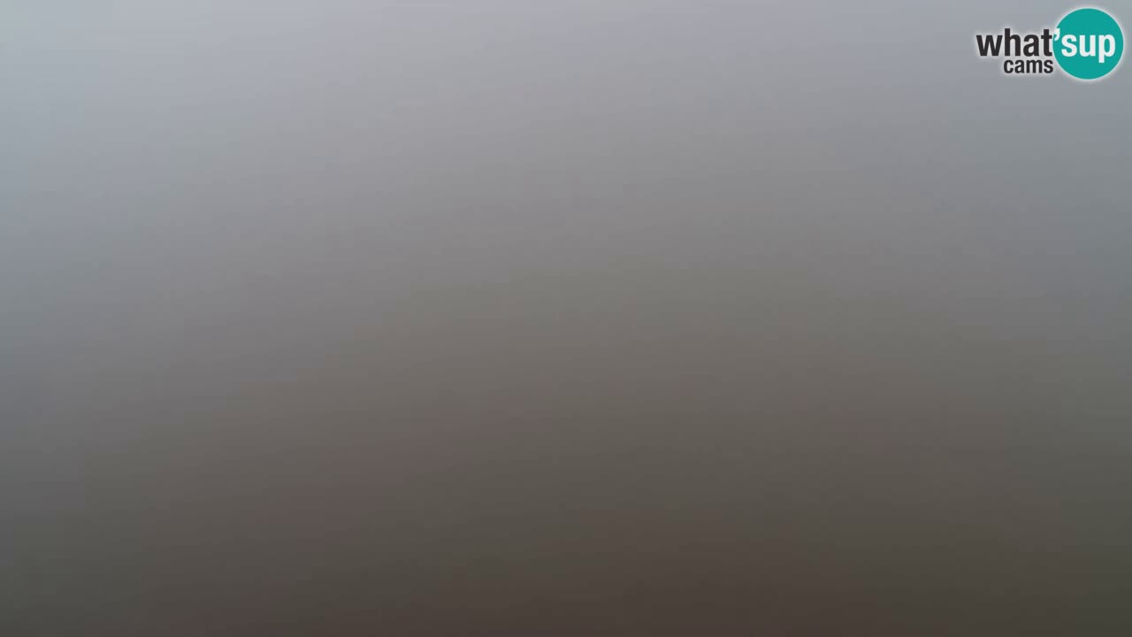 Webcam Pohorje Trikotna Jasa | Poštela