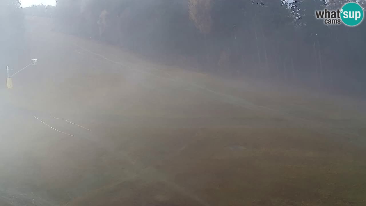 Webcam Pohorje Trikotna Jasa | Poštela