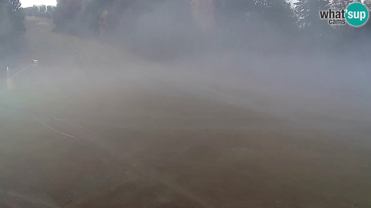 Webcam Pohorje Trikotna Jasa | Poštela