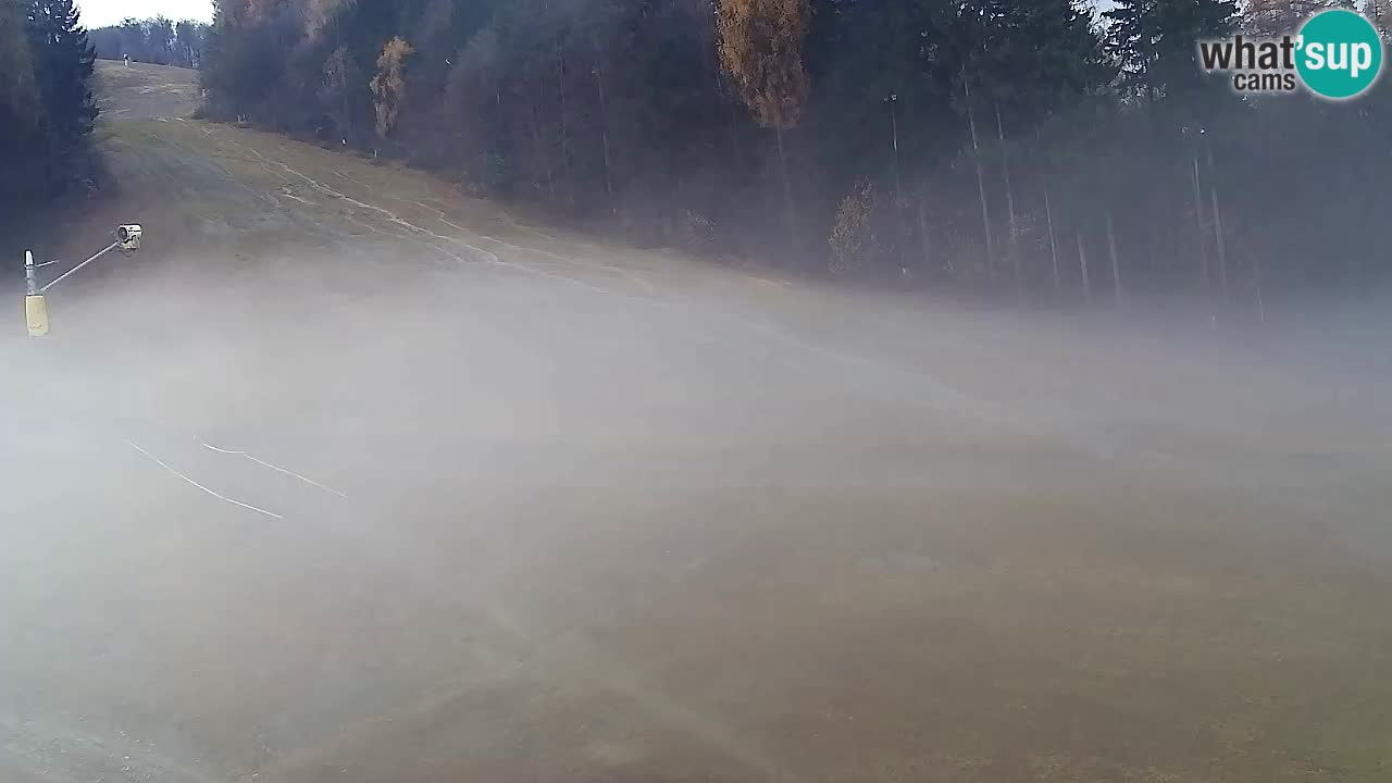 Webcam Pohorje Trikotna Jasa | Poštela