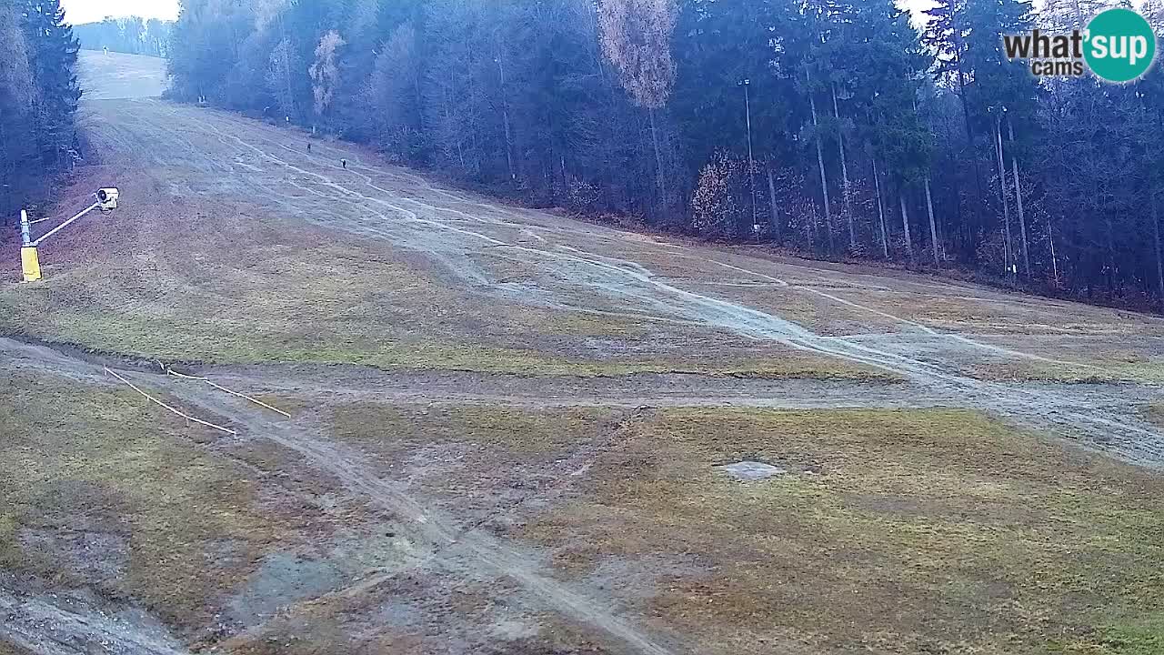 Webcam Pohorje Trikotna Jasa | Poštela