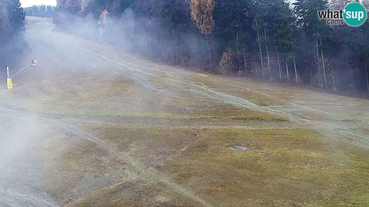 Web Camera Pohorje Trikotna Jasa | Poštela