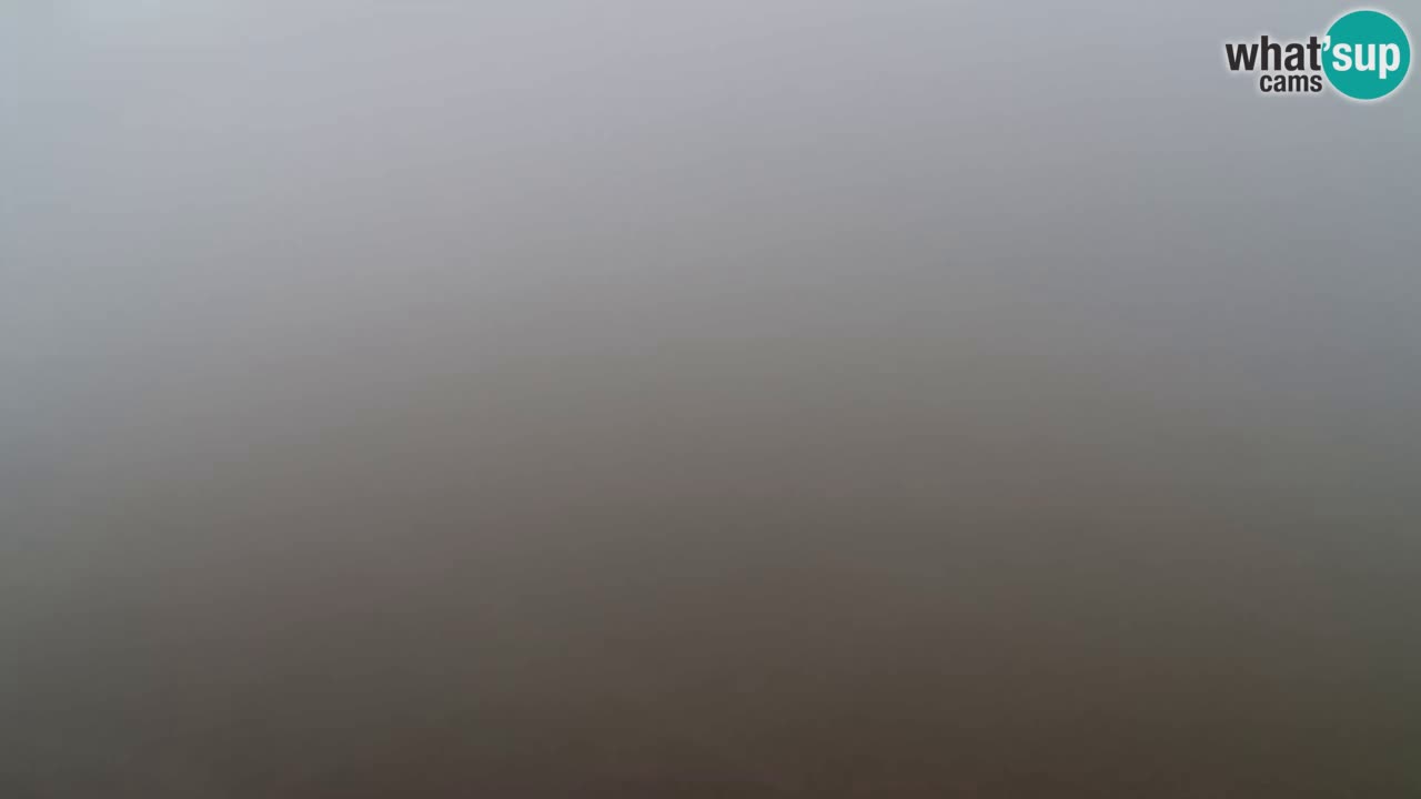 Web Camera Pohorje Trikotna Jasa | Poštela