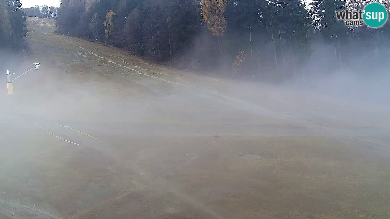 Web kamera Pohorje Trikotna Jasa | Poštela