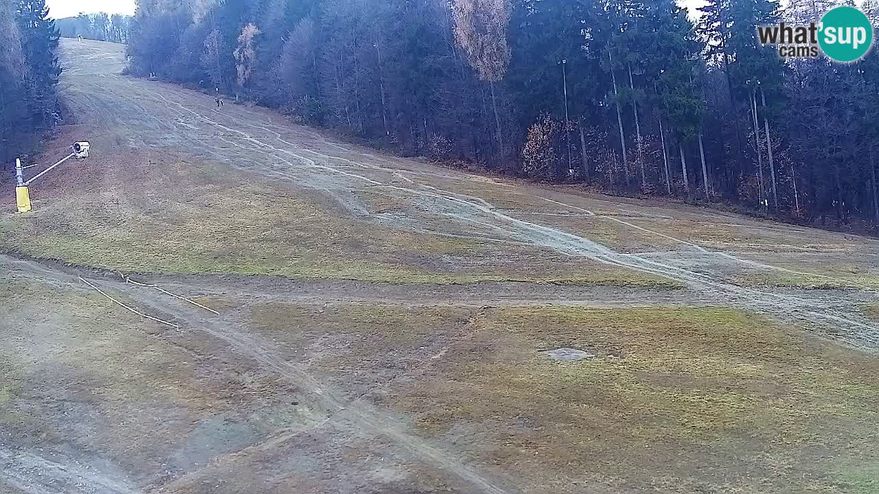 Web kamera Pohorje Trikotna Jasa | Poštela