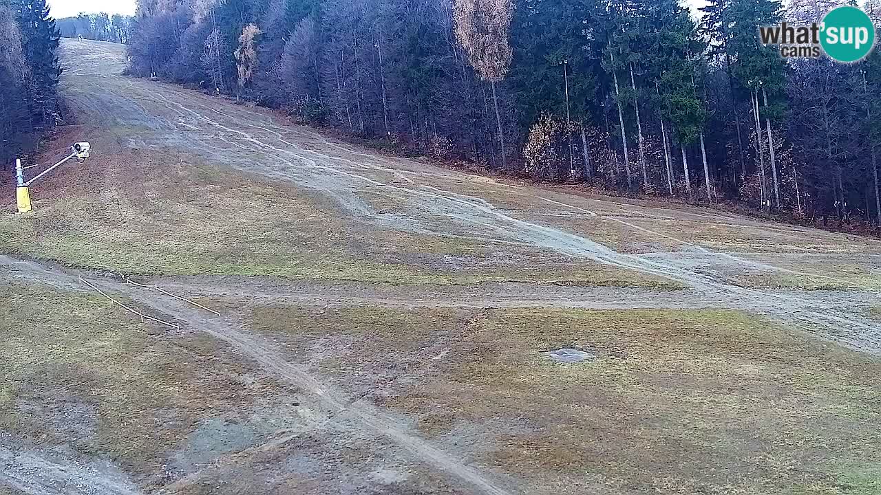 Web Camera Pohorje Trikotna Jasa | Poštela