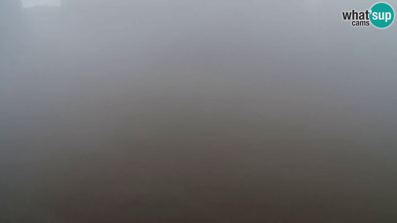 Webcam Pohorje Trikotna Jasa | Poštela