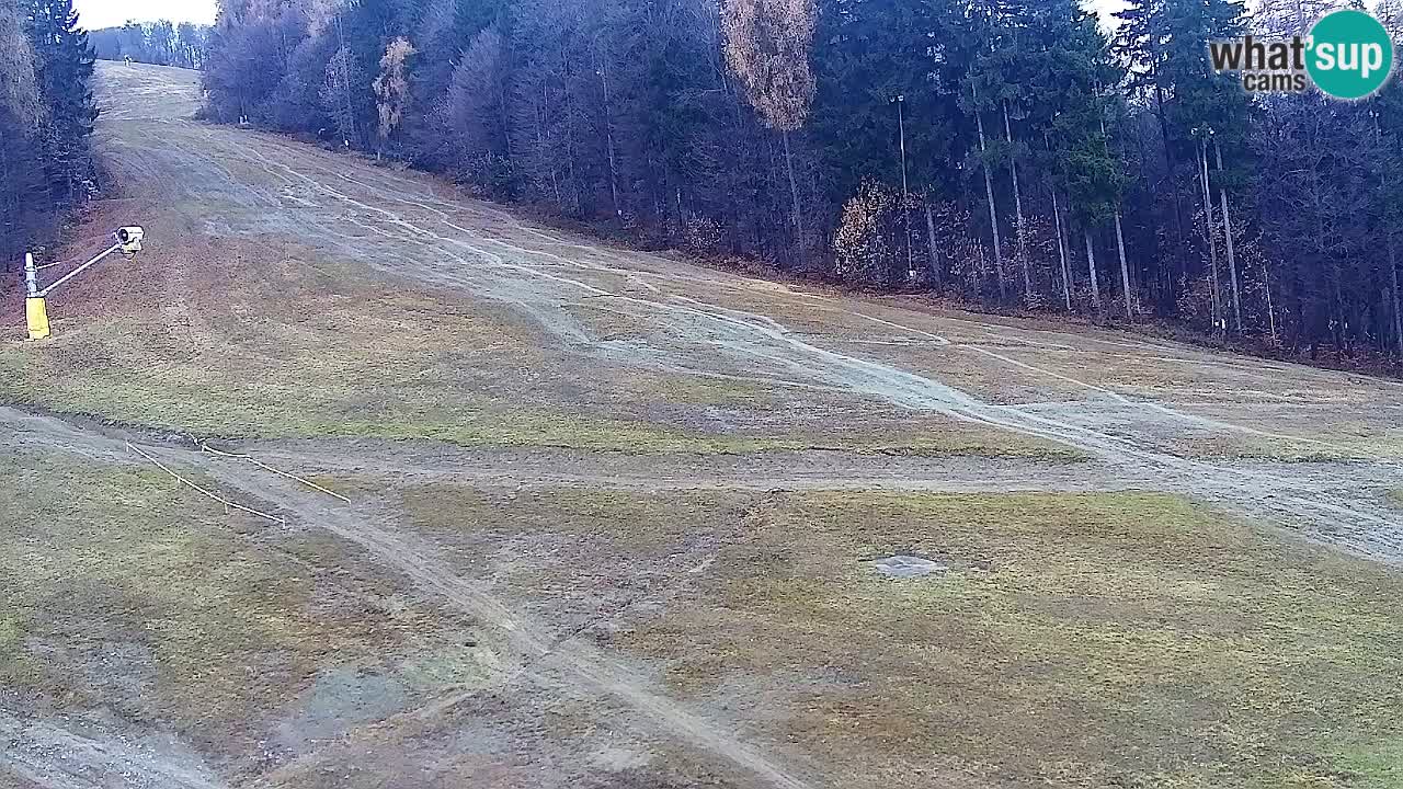 Spletna Kamera Pohorje Trikotna Jasa | Poštela
