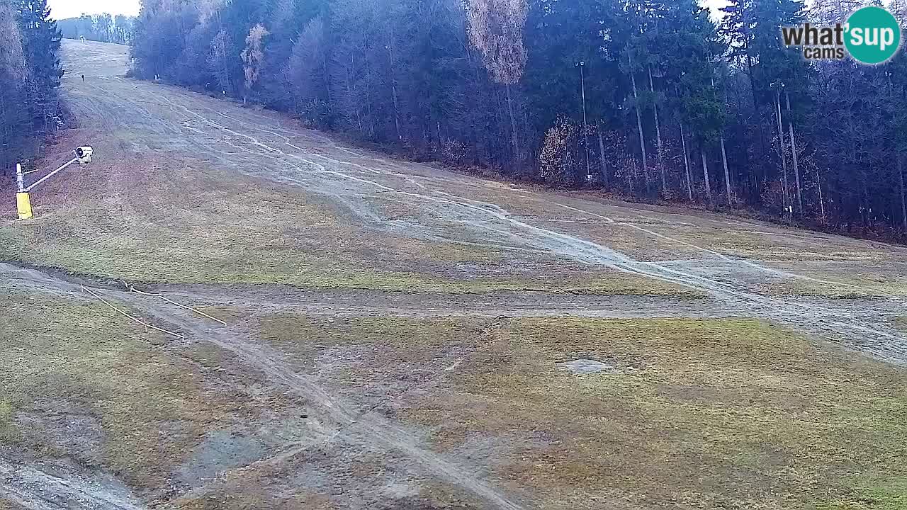 Webcam Pohorje Trikotna Jasa | Poštela