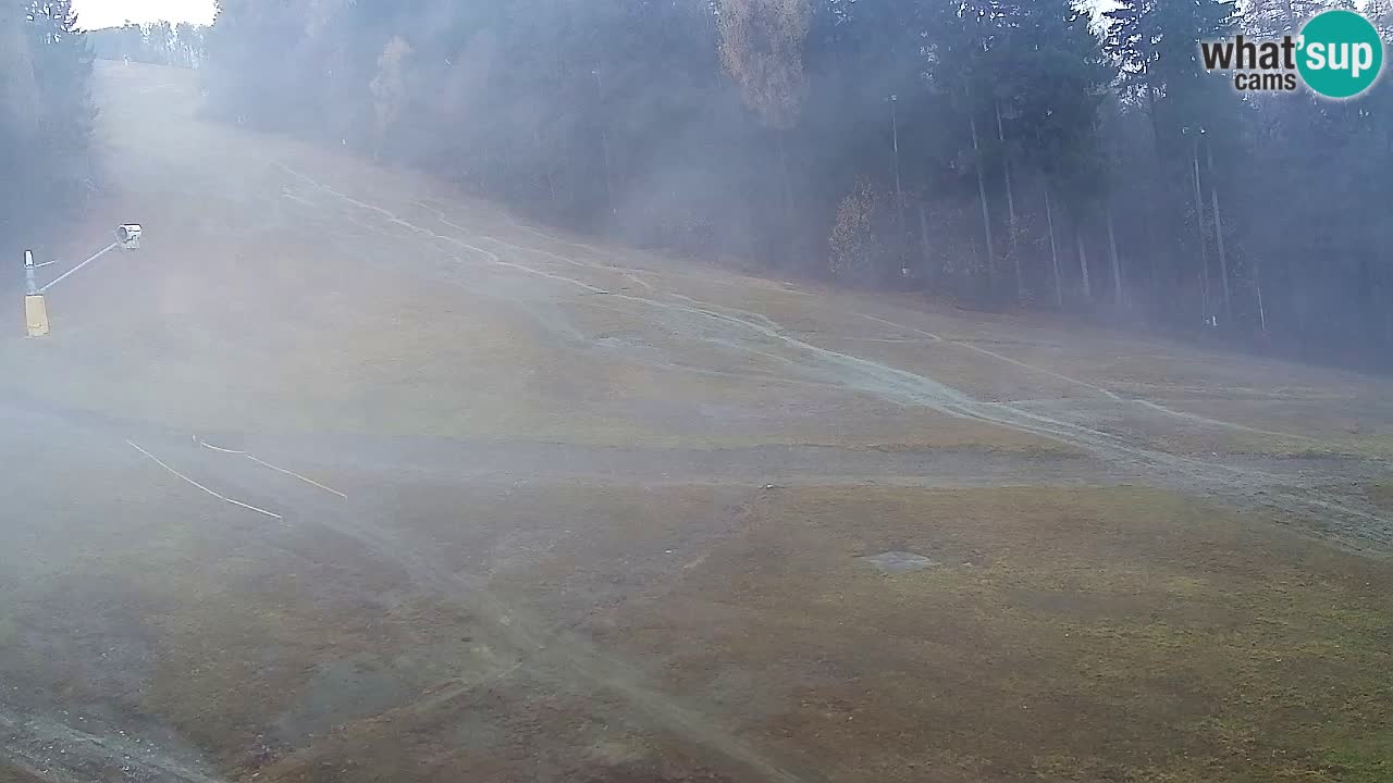 Webcam Pohorje Trikotna Jasa | Poštela