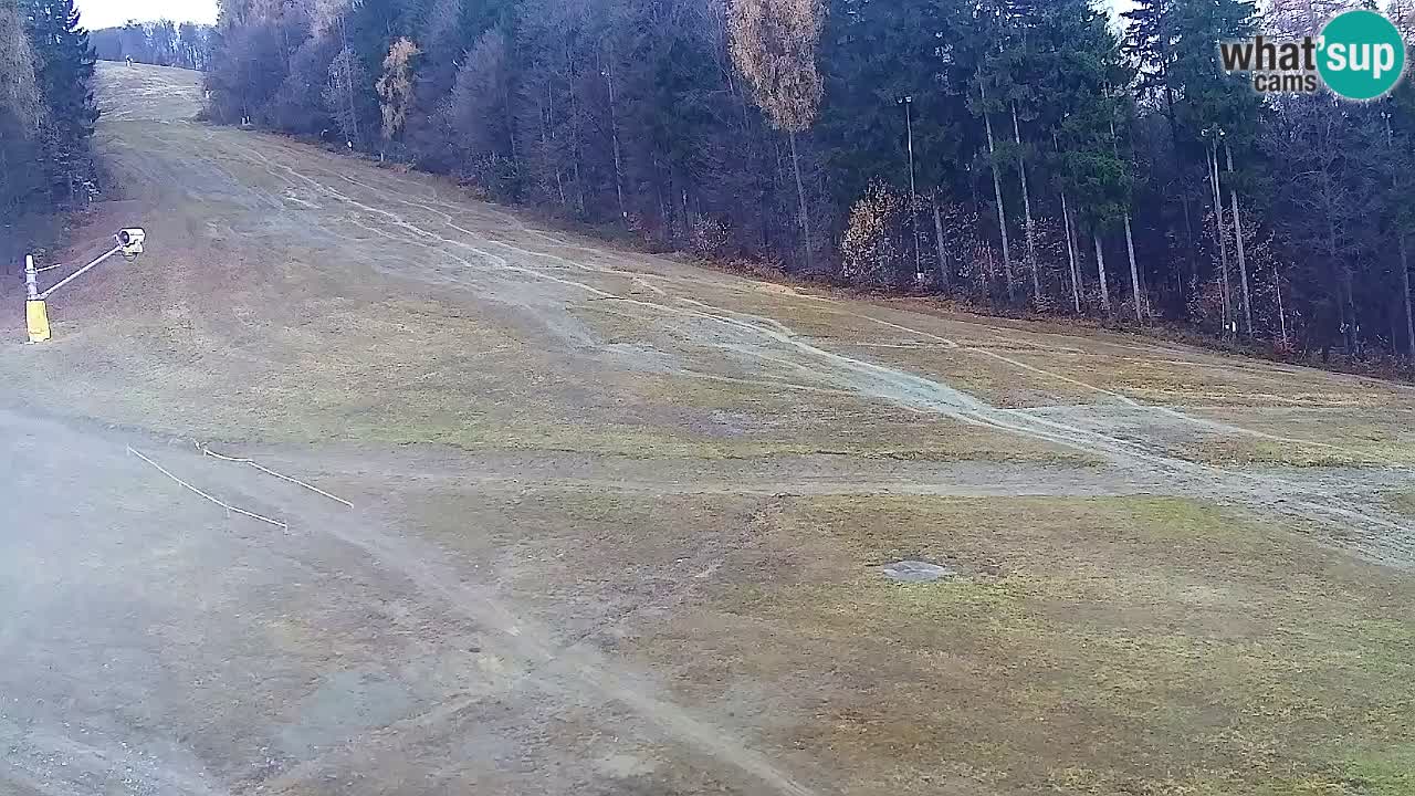 Web Camera Pohorje Trikotna Jasa | Poštela