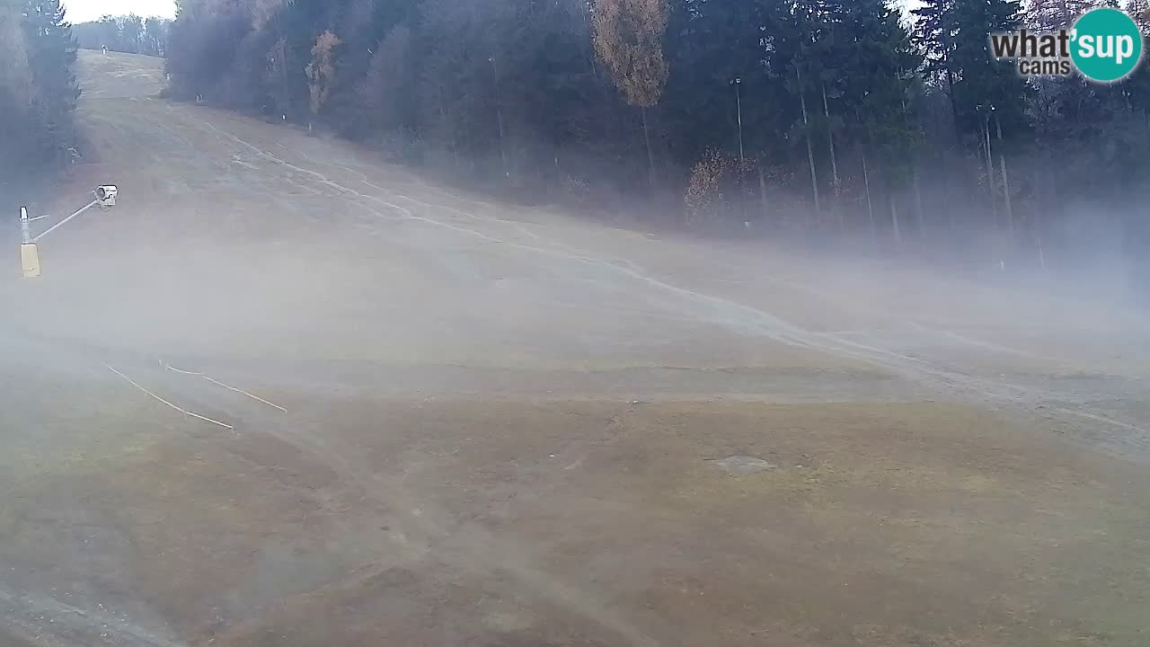 Web Camera Pohorje Trikotna Jasa | Poštela