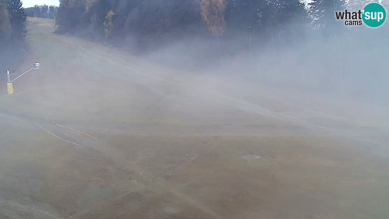 Webcam Pohorje Trikotna Jasa | Poštela