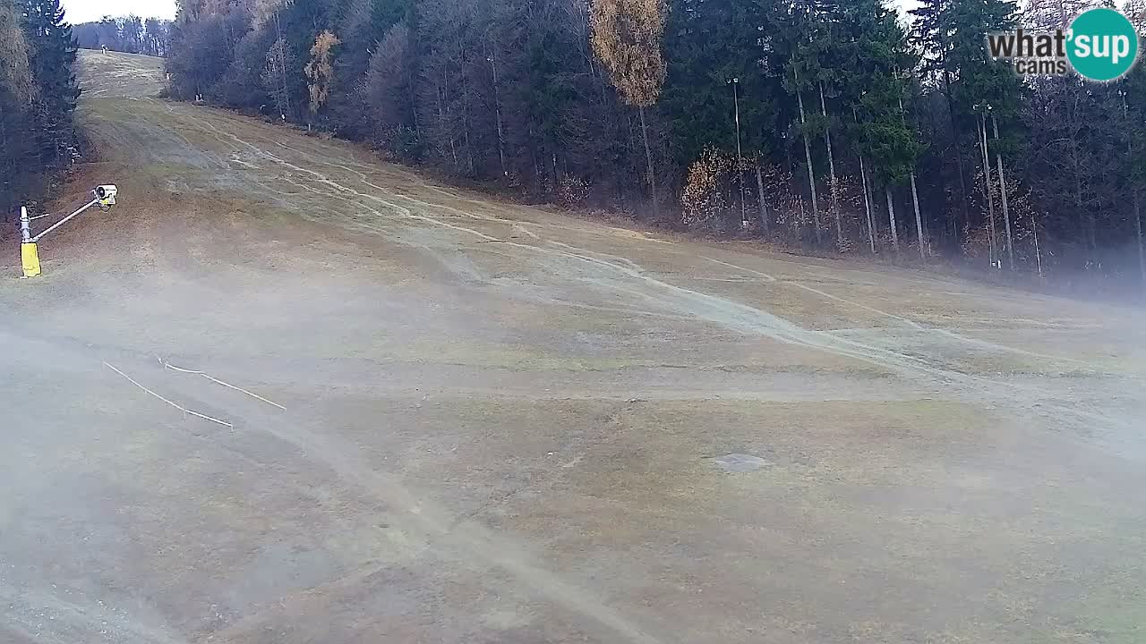 Webcam Pohorje Trikotna Jasa | Poštela