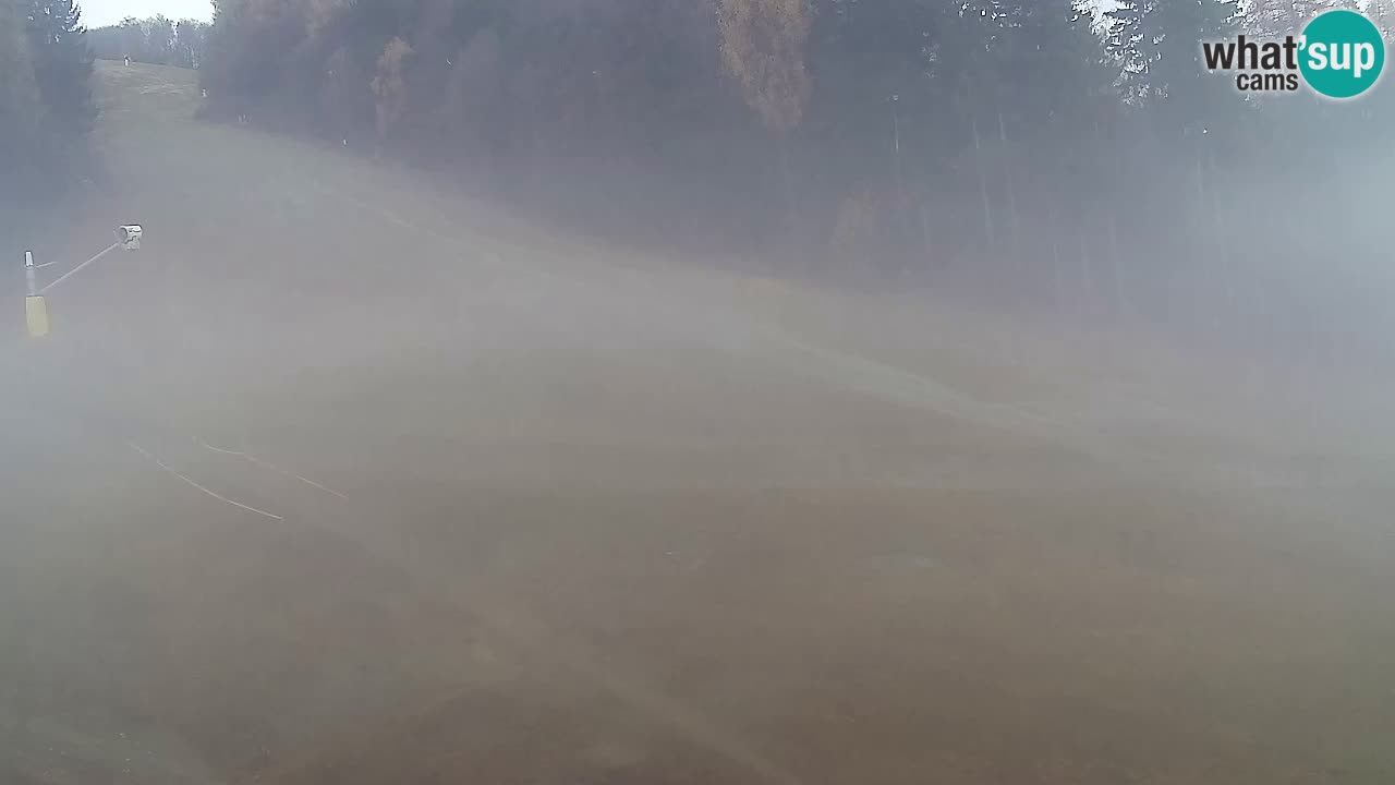 Webcam Pohorje Trikotna Jasa | Poštela