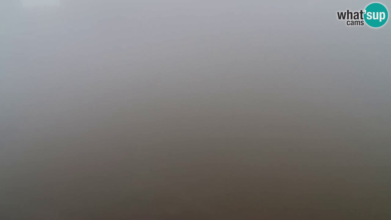 Webcam Pohorje Trikotna Jasa | Poštela