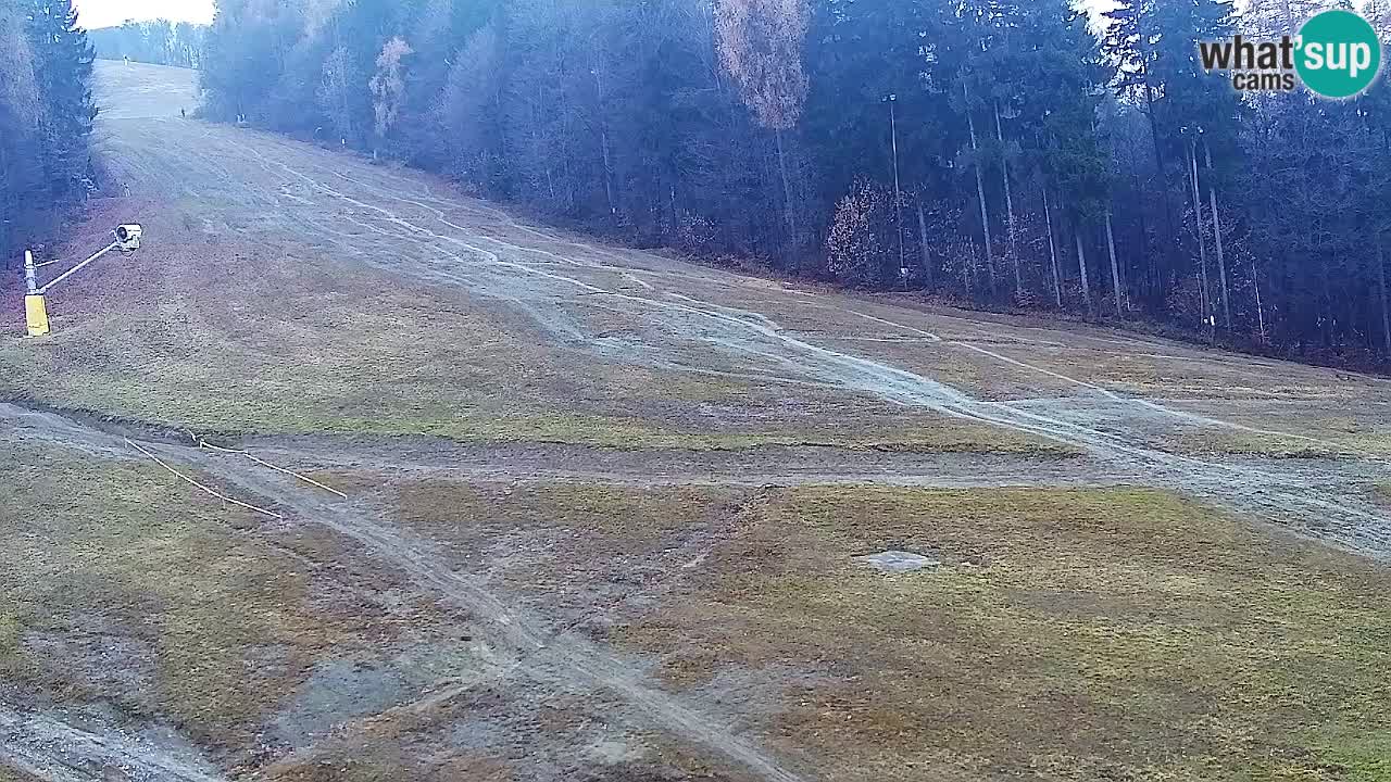 Web Camera Pohorje Trikotna Jasa | Poštela
