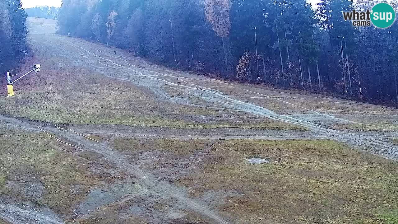 Webcam Pohorje Trikotna Jasa | Poštela