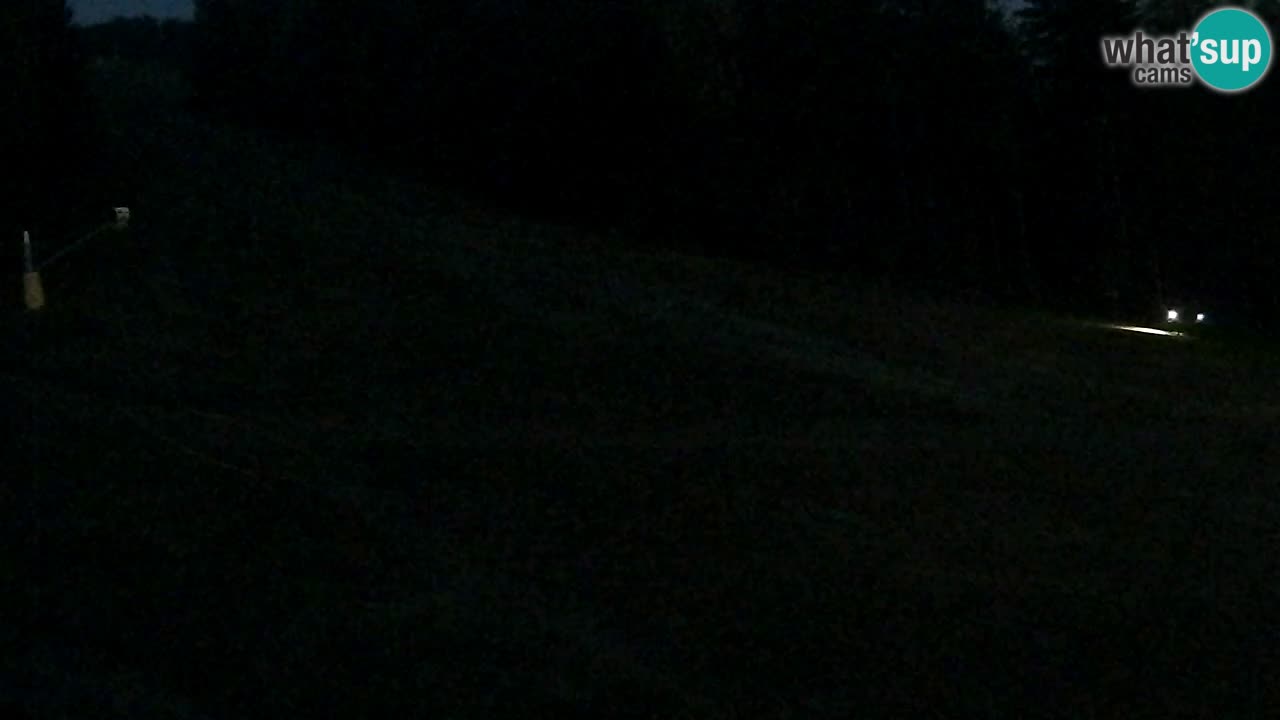 Spletna Kamera Pohorje Trikotna Jasa | Poštela