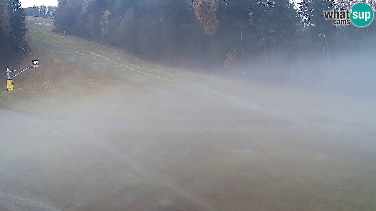 Web Camera Pohorje Trikotna Jasa | Poštela