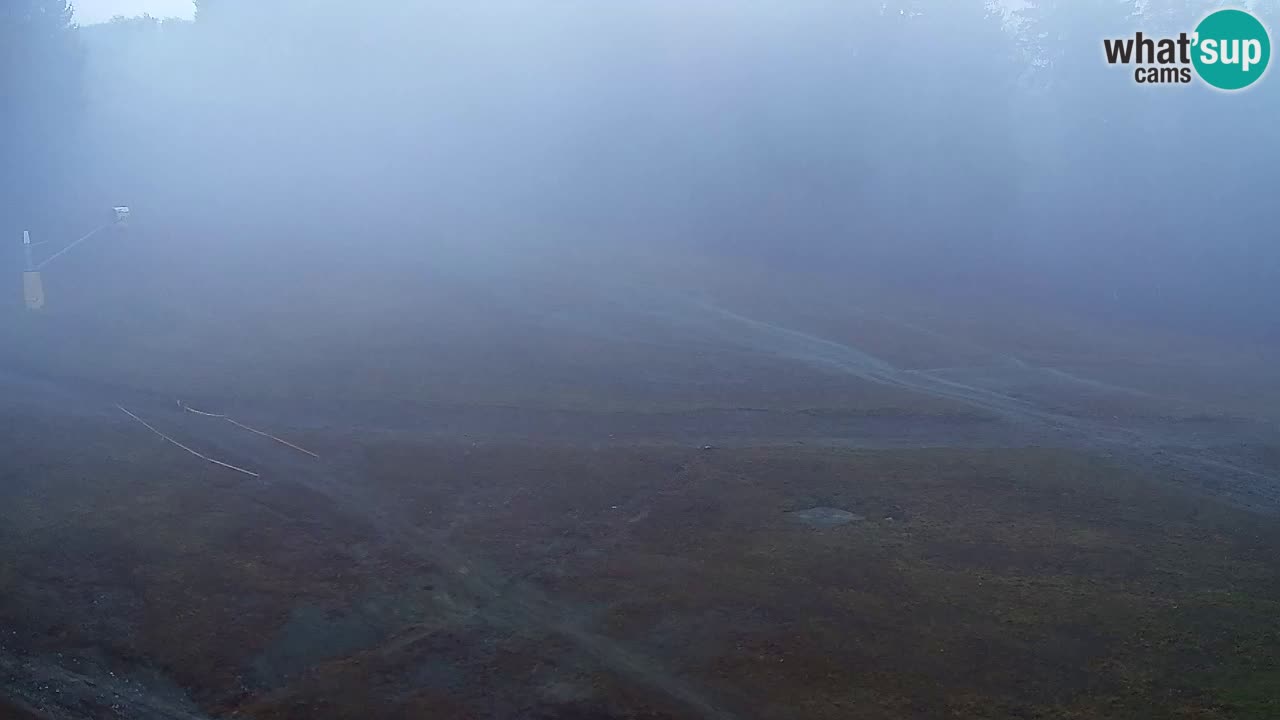 Webcam Pohorje Trikotna Jasa | Poštela