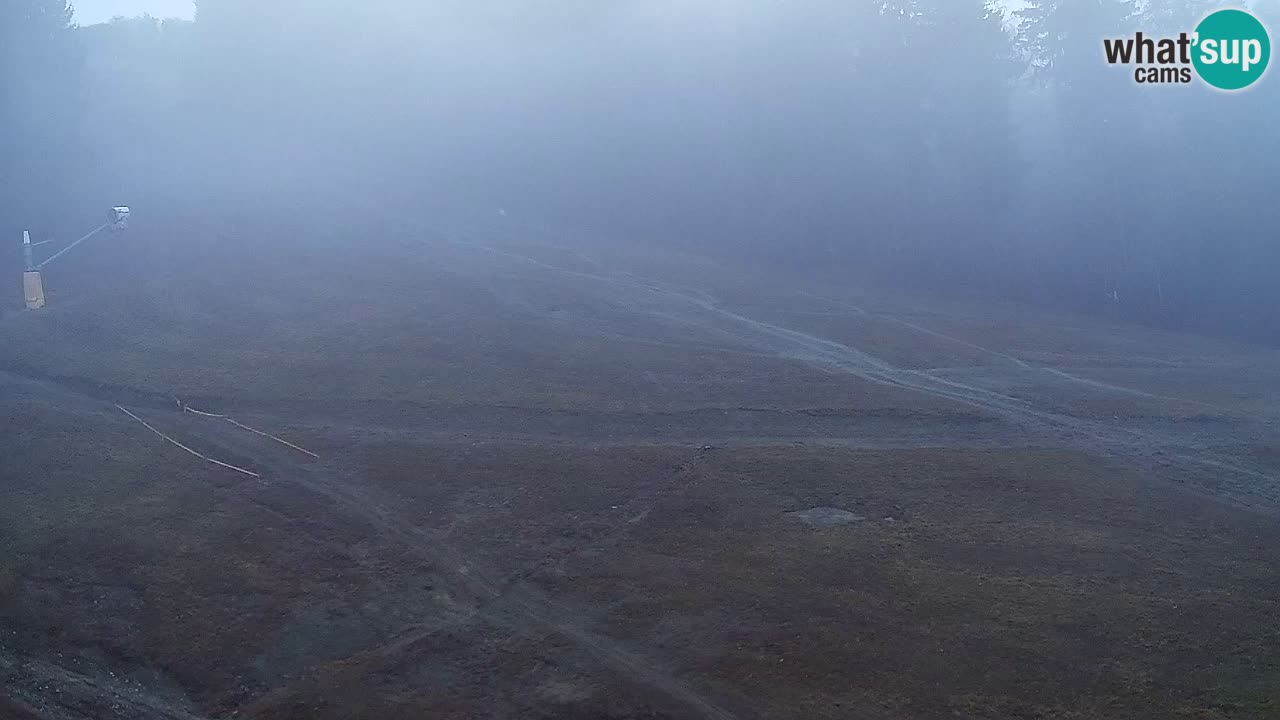 Webcam Pohorje Trikotna Jasa | Poštela