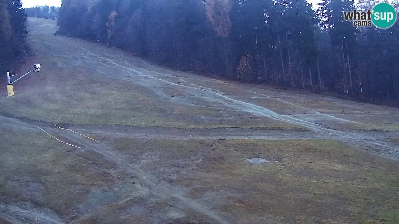 Web Camera Pohorje Trikotna Jasa | Poštela