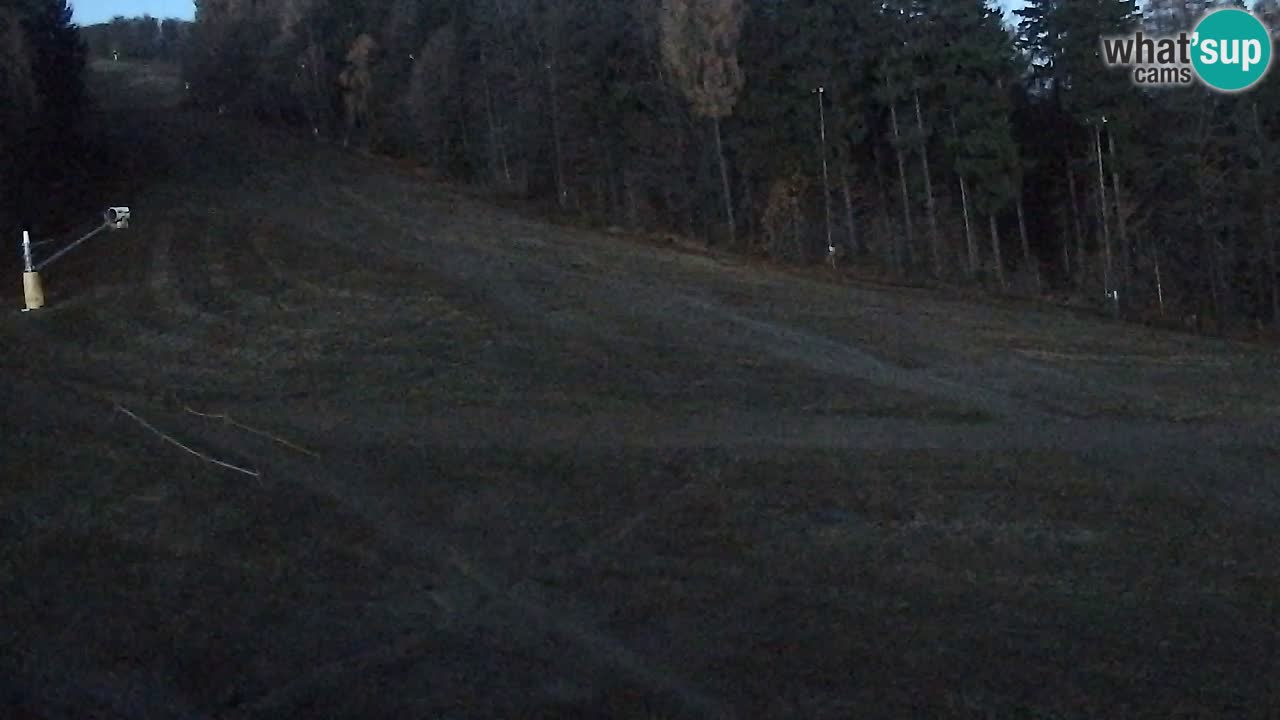 Webcam Pohorje Trikotna Jasa | Poštela