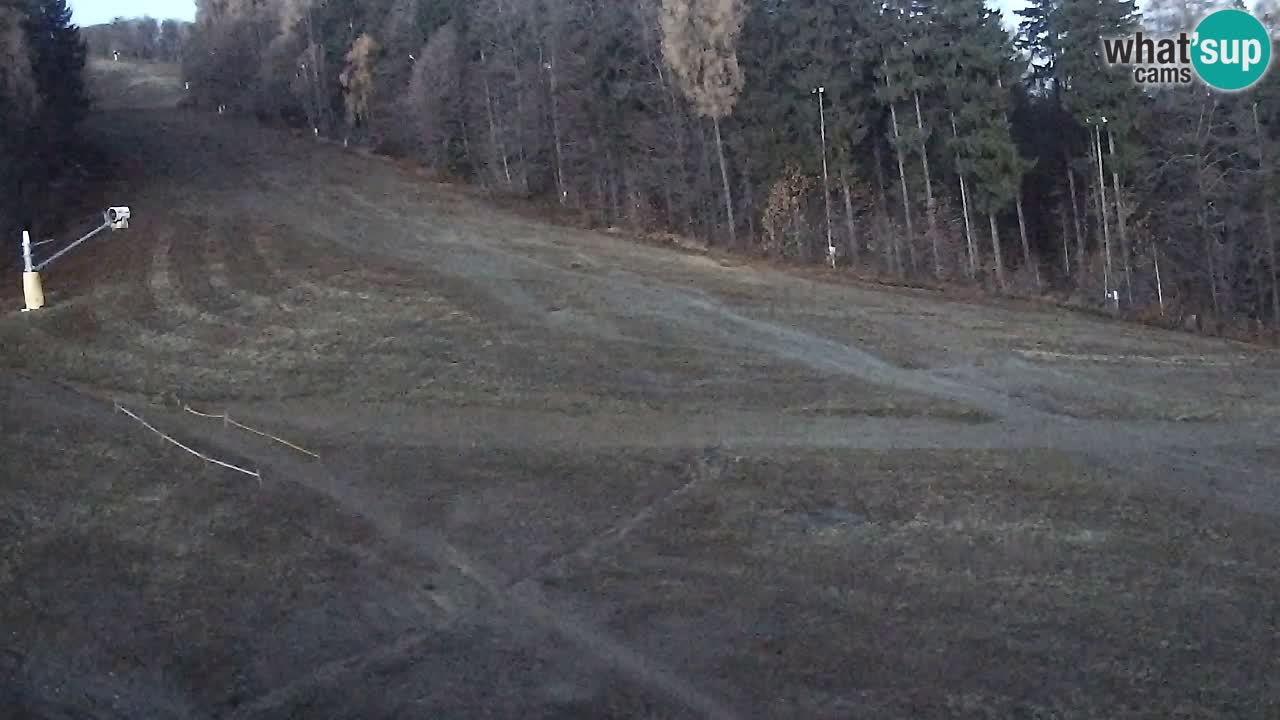 Webcam Pohorje Trikotna Jasa | Poštela