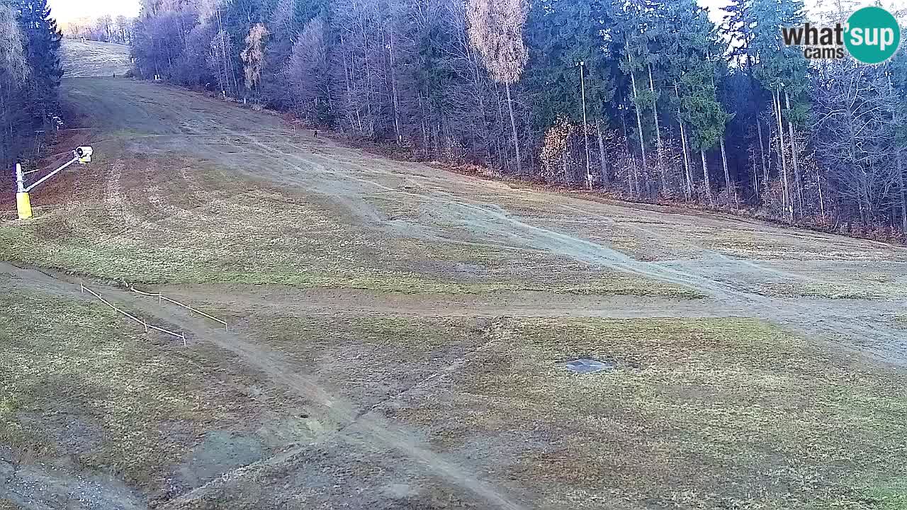 Web Camera Pohorje Trikotna Jasa | Poštela