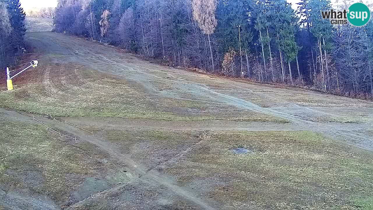 Webcam Pohorje Trikotna Jasa | Poštela