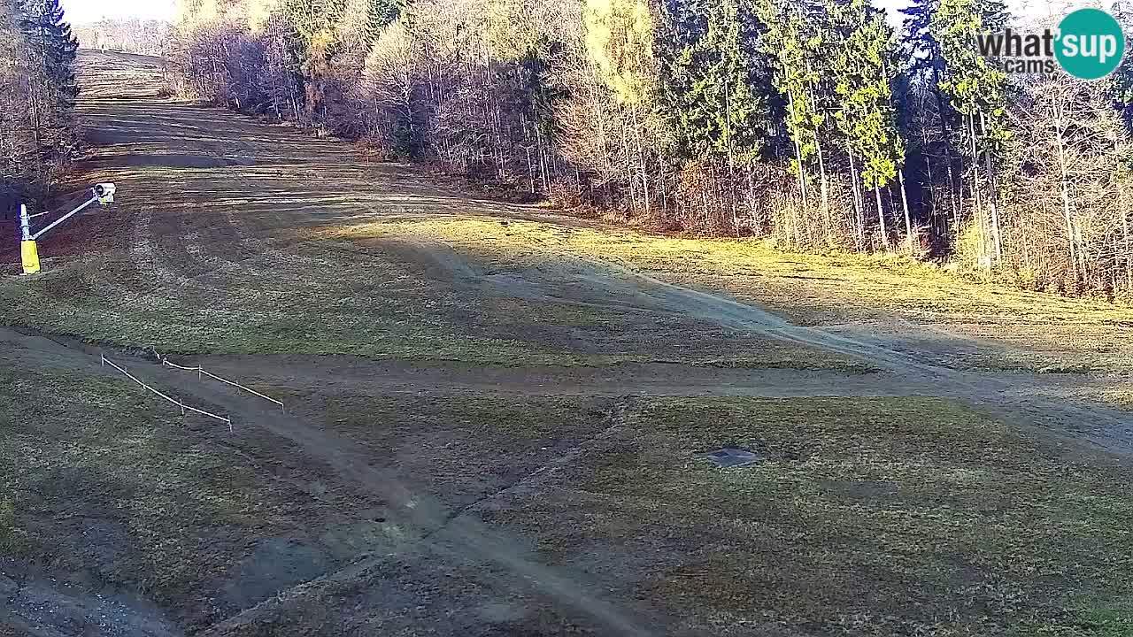 Webcam Pohorje Trikotna Jasa | Poštela