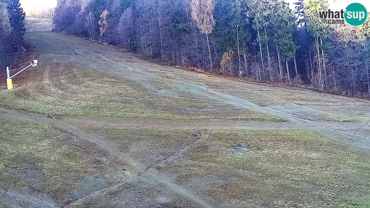 Web kamera Pohorje Trikotna Jasa | Poštela