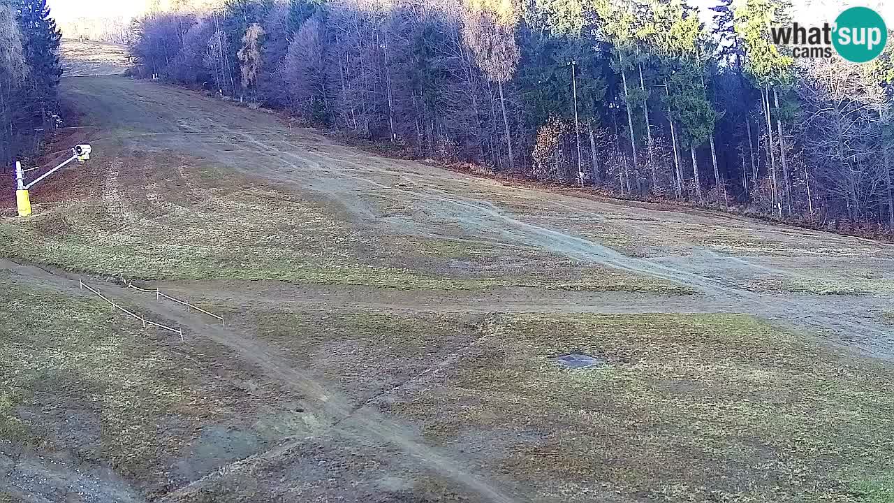 Web kamera Pohorje Trikotna Jasa | Poštela