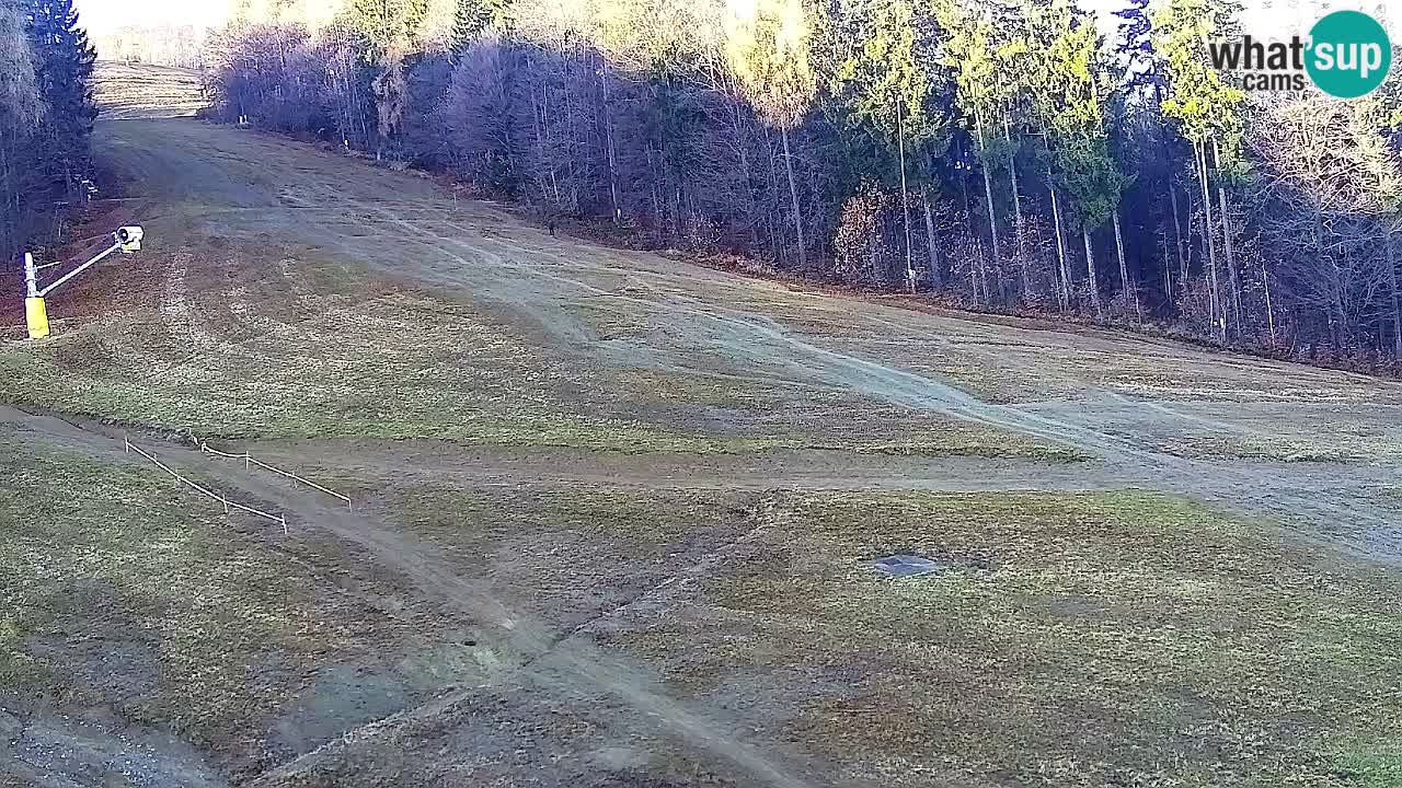 Web Camera Pohorje Trikotna Jasa | Poštela