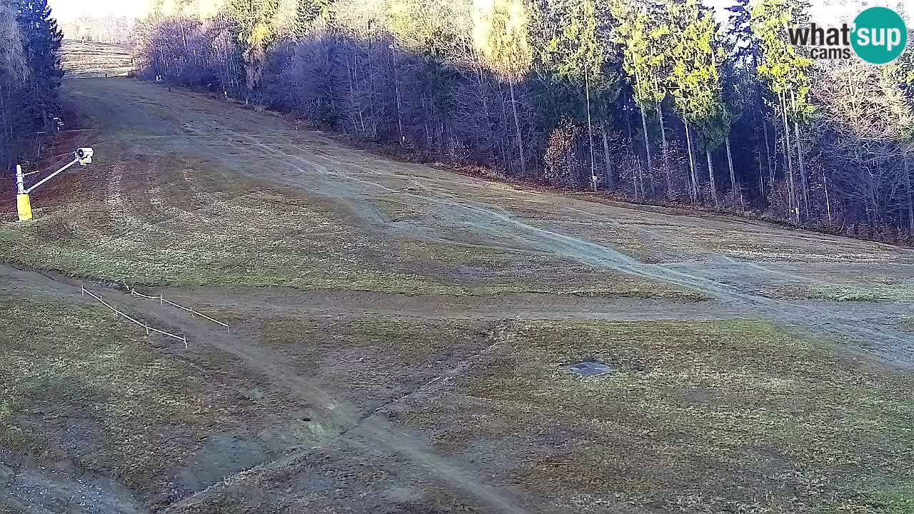 Web kamera Pohorje Trikotna Jasa | Poštela
