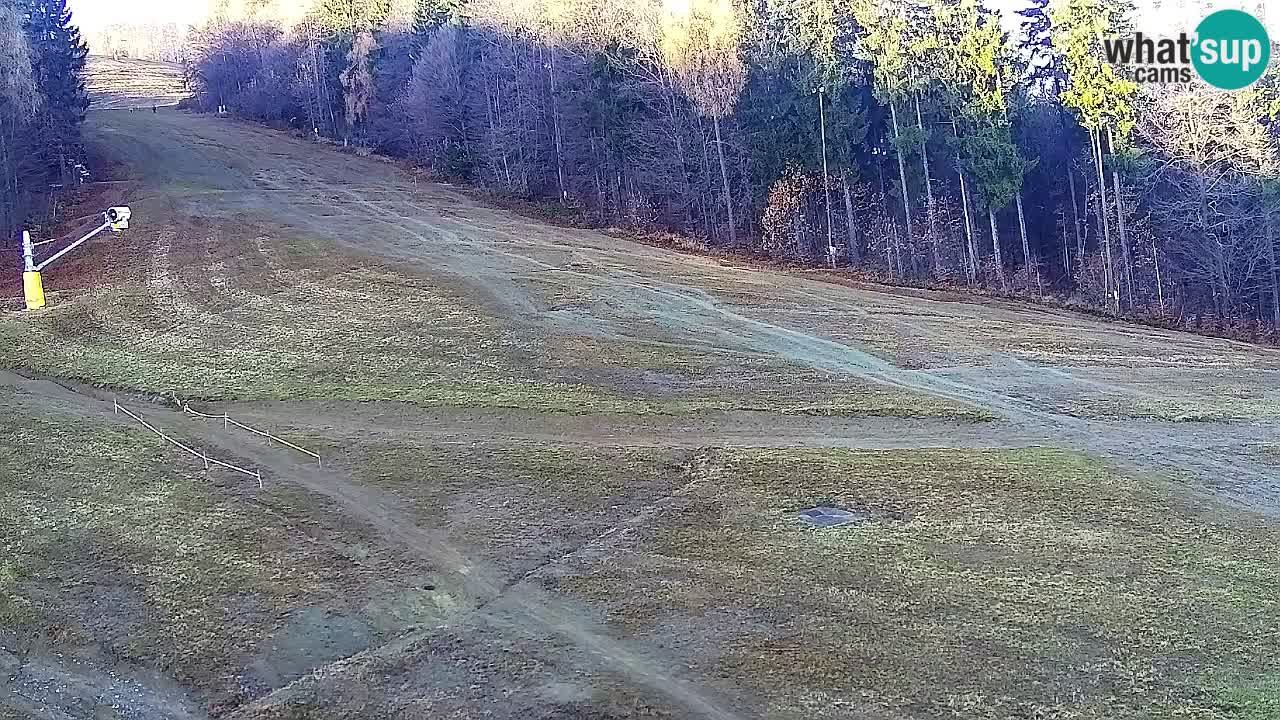 Webcam Pohorje Trikotna Jasa | Poštela