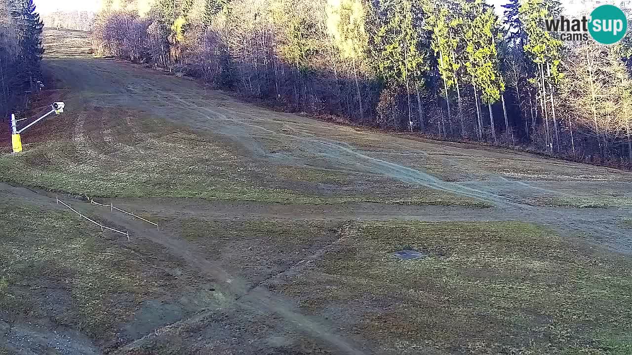 Webcam Pohorje Trikotna Jasa | Poštela