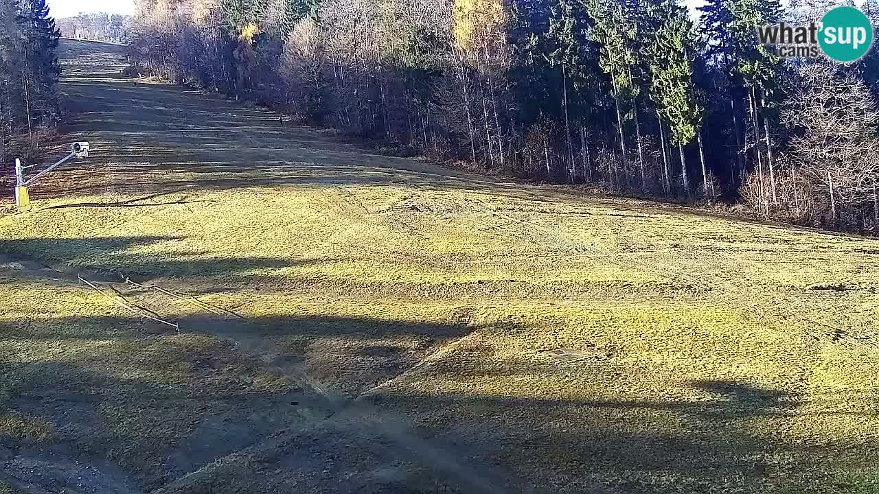 Webcam Pohorje Trikotna Jasa | Poštela