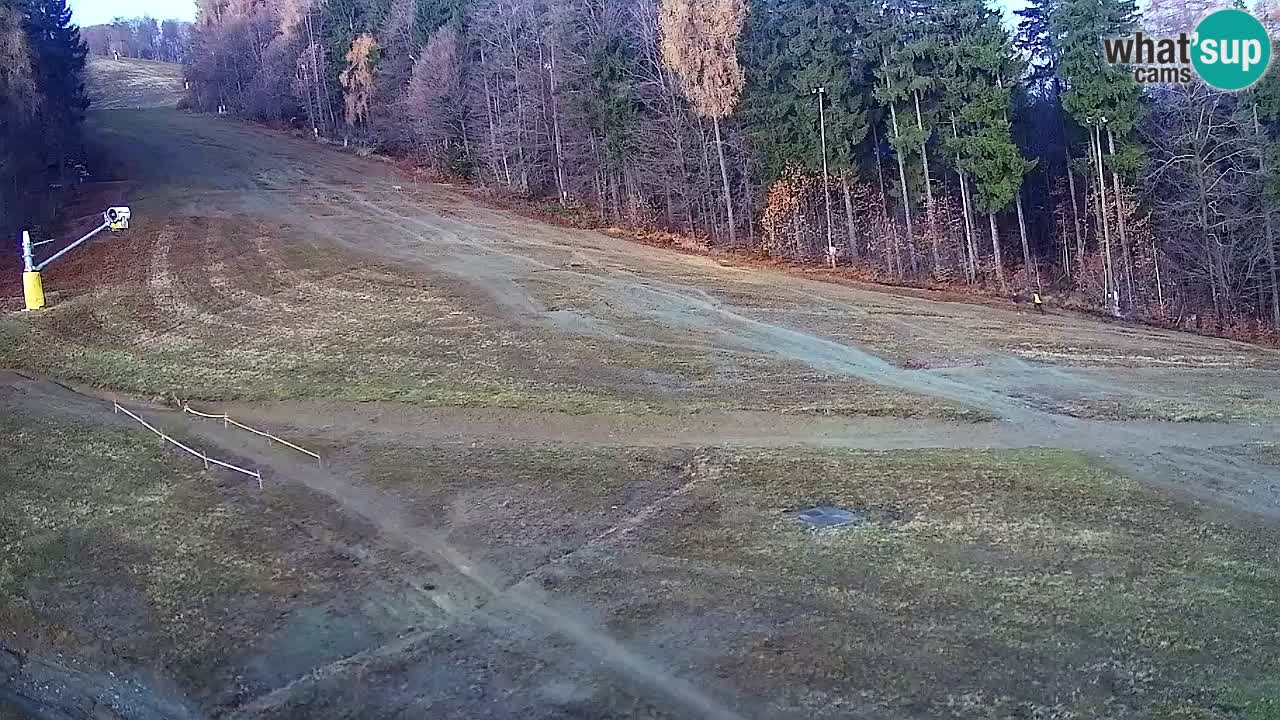 Spletna Kamera Pohorje Trikotna Jasa | Poštela