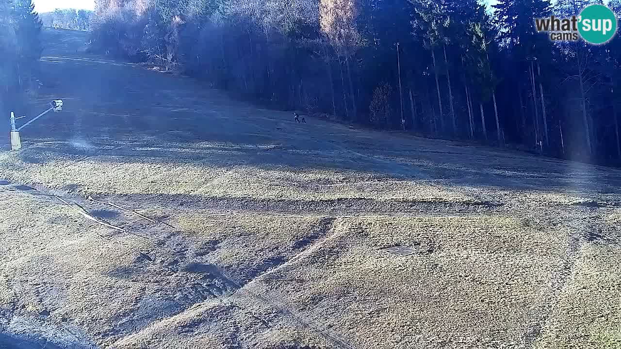 Webcam Pohorje Trikotna Jasa | Poštela