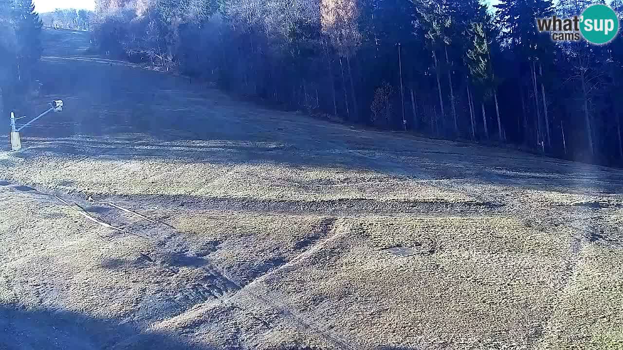 Webcam Pohorje Trikotna Jasa | Poštela