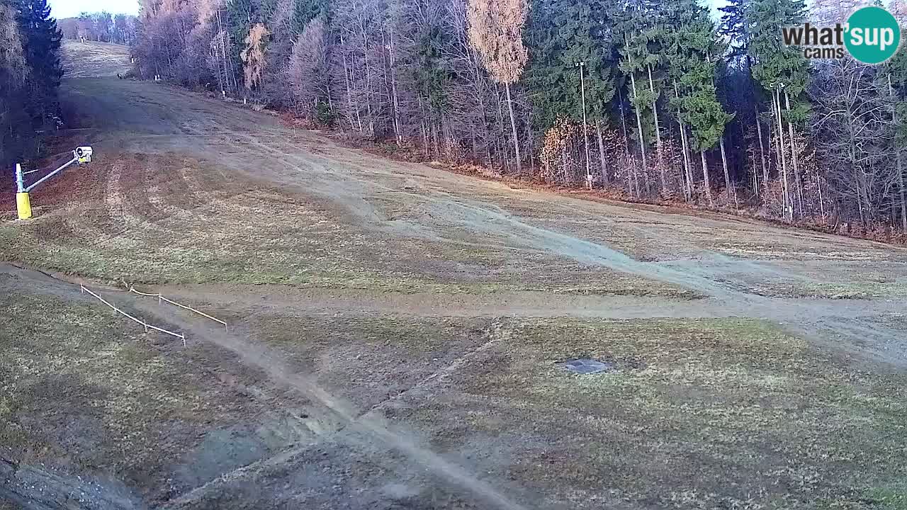 Webcam Pohorje Trikotna Jasa | Poštela