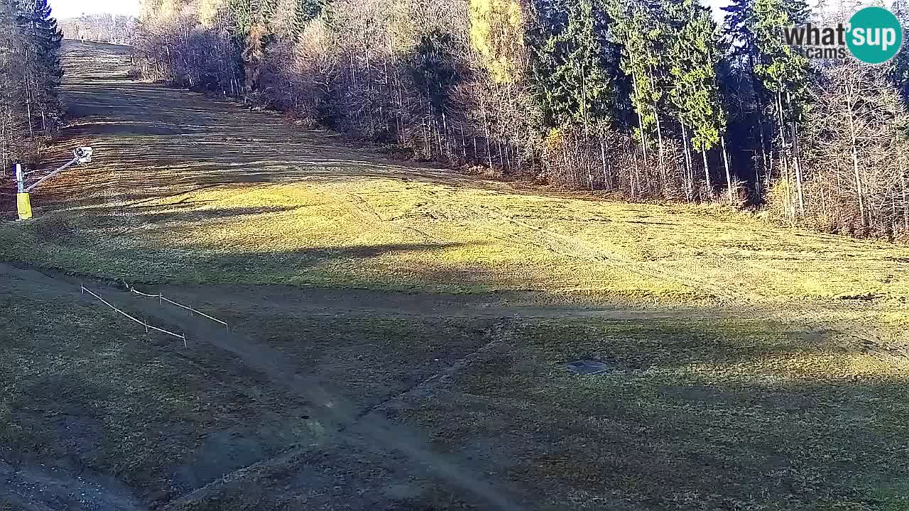 Spletna Kamera Pohorje Trikotna Jasa | Poštela