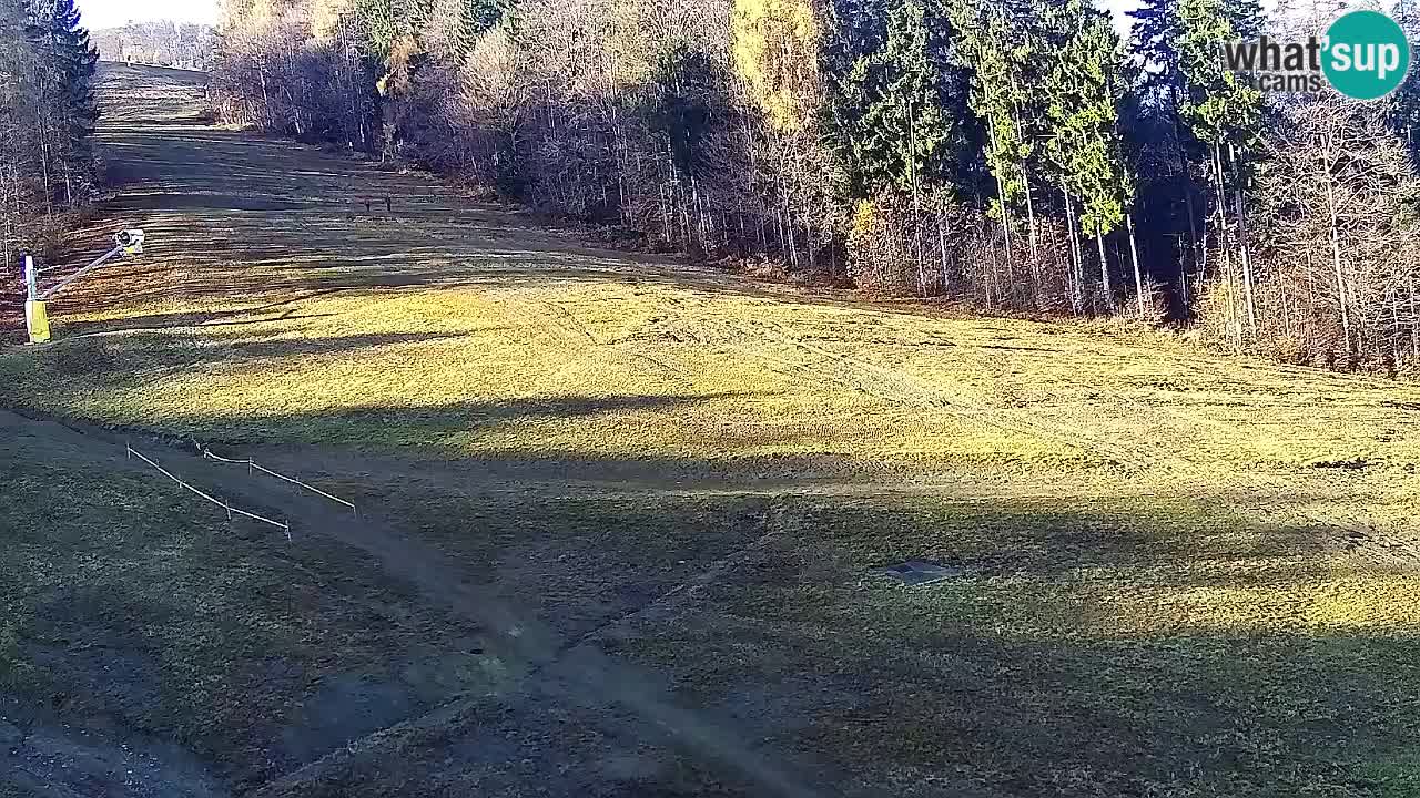 Web Camera Pohorje Trikotna Jasa | Poštela