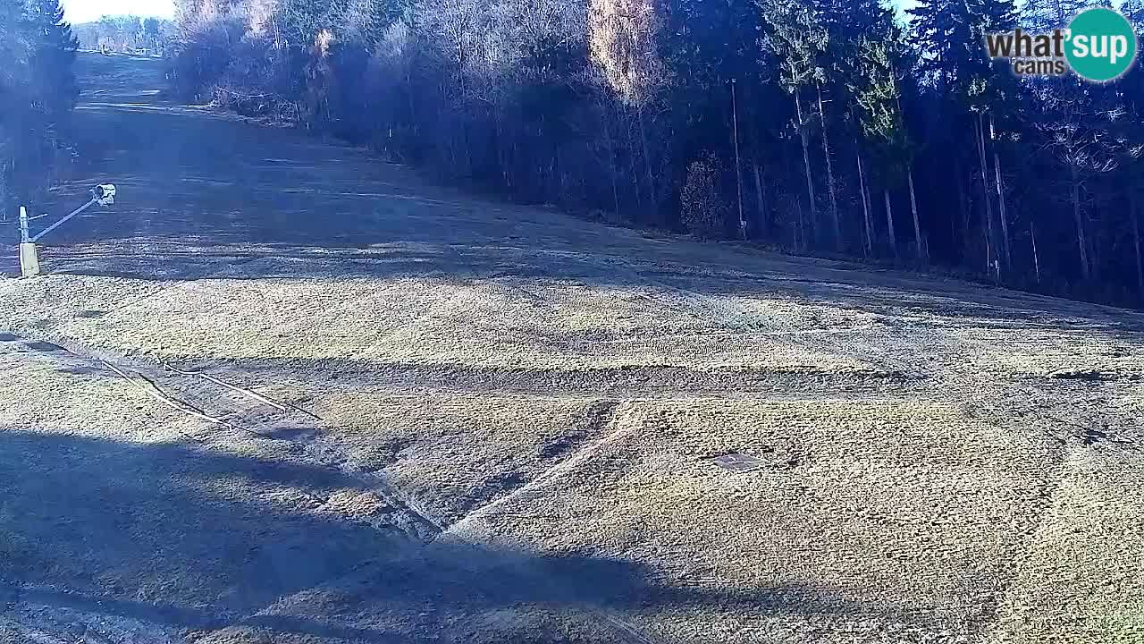 Spletna Kamera Pohorje Trikotna Jasa | Poštela