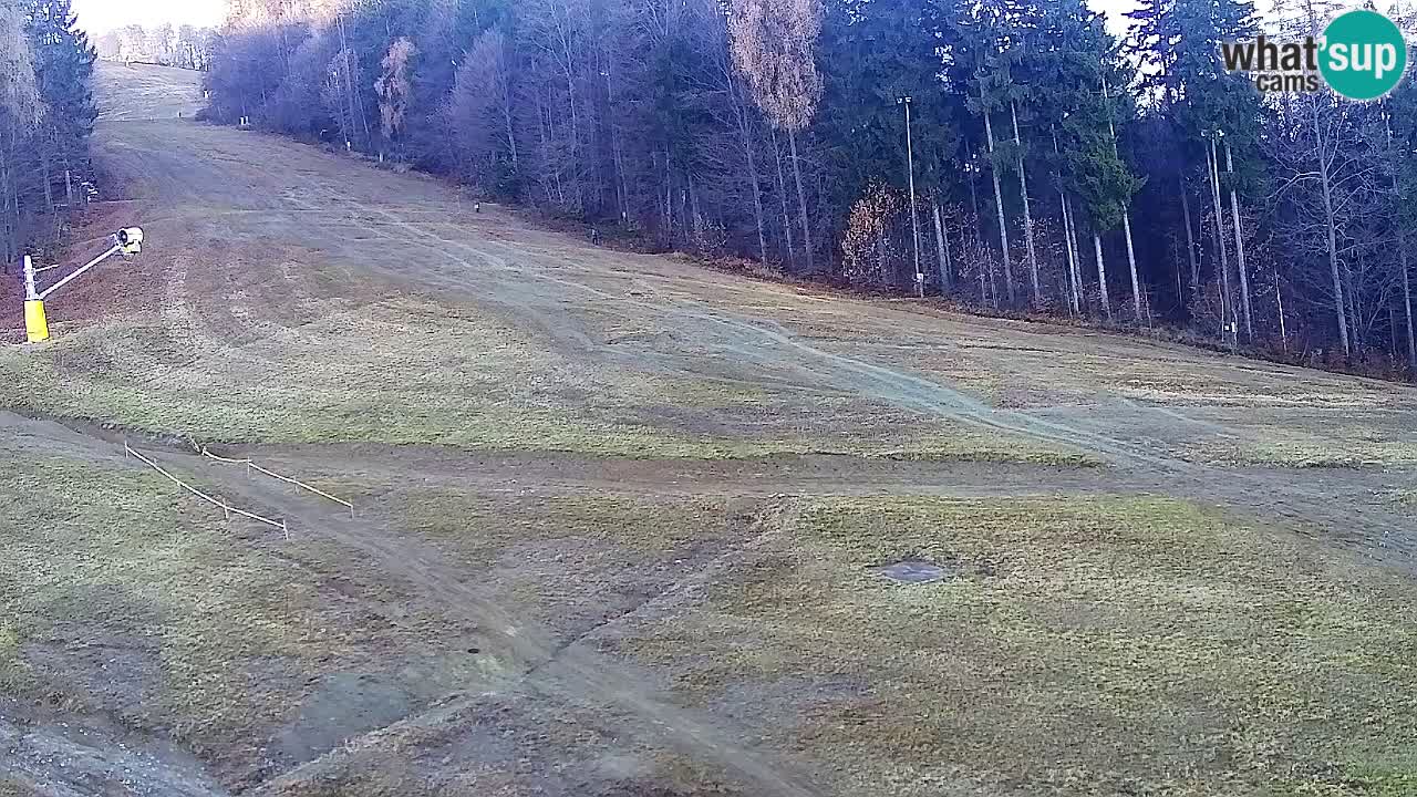 Webcam Pohorje Trikotna Jasa | Poštela