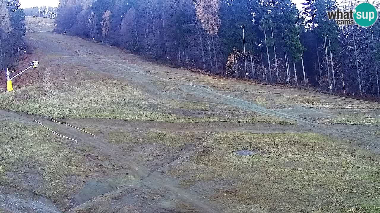 Webcam Pohorje Trikotna Jasa | Poštela